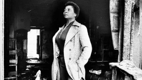 Boblo Boats: A Detroit Ferry Tale Bild 6