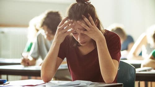 Der Weg zur Exzellenz Bild 5