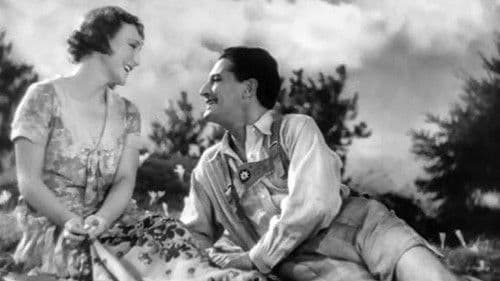 Autumn Crocus Bild 1