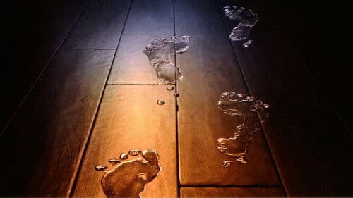 Das Mädchen aus dem Wasser Bild 8