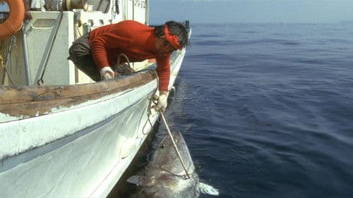 魚影の群れ Bild 2