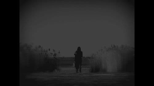 Ultima Noapte Bild 5