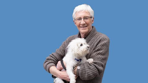 For the Love of Dogs Bild 3