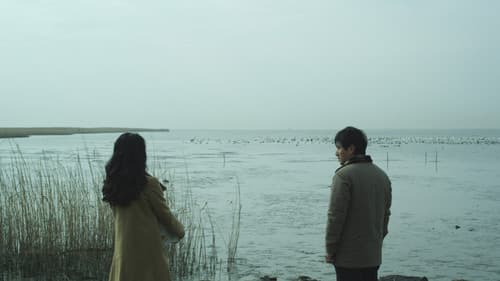 콘돌은 날아간다 Bild 3