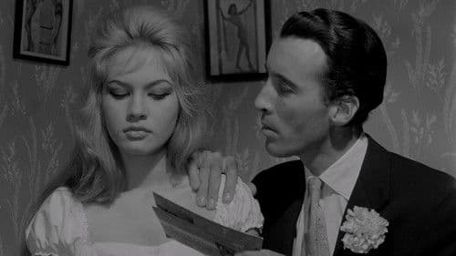 Heiß auf nackten Steinen Bild 2