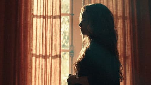 Jardim dos Girassóis Bild 5