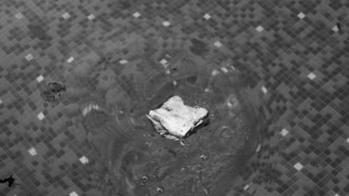 La sinfonía del sandwich Bild 7