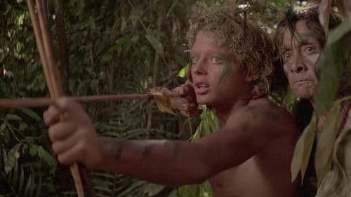 Der Smaragdwald Bild 8