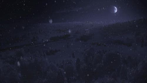 André Rieu - Home for Christmas Bild 3