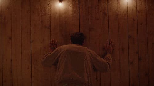 Head Like A Hive Bild 1