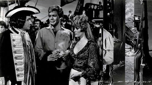 Der Pirat des Königs Bild 4