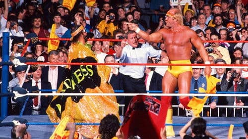 WWE WrestleMania V Bild 4