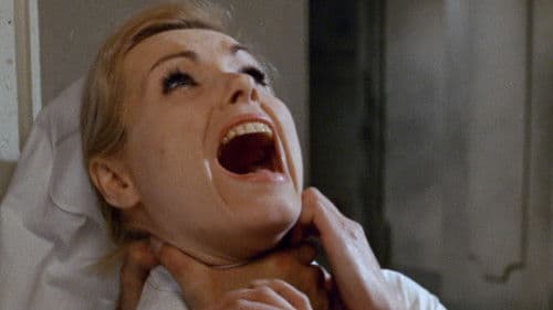 Die Blaue Hand Bild 4