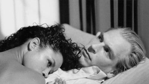 Tennessee Nights Bild 7