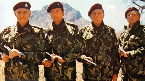 Die Wildgänse kommen Bild 3