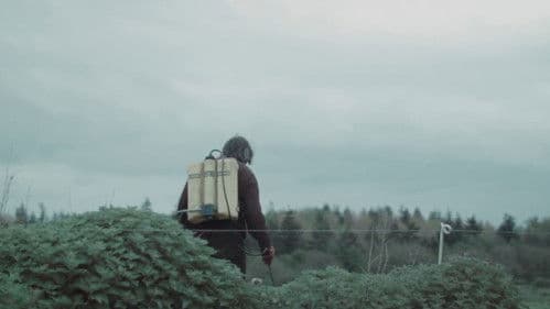 Der einsame Kampf des Thomas Reid Bild 1