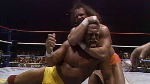 WWE World Tour '90 Bild 1