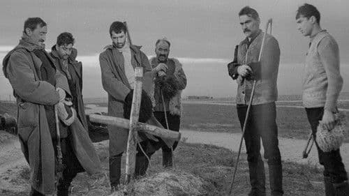 თეთრი ქარავანი Bild 1