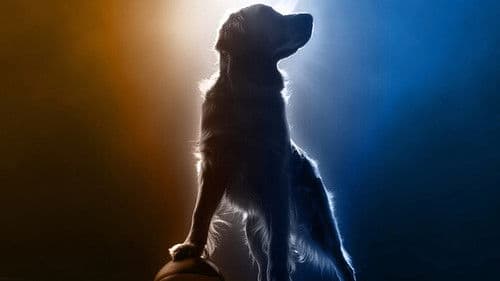 Air Bud Returns Bild 1
