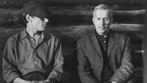 Месяц август Bild 5