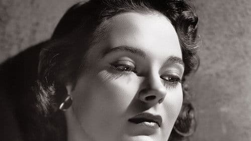 Illegal Entry Bild 2