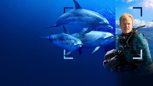 Delfine hautnah mit Bertie Gregory Bild 2