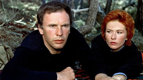 Das Netz der 1000 Augen Bild 1