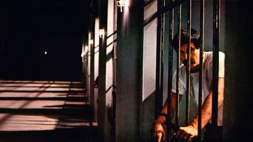 Yağmur Kaçakları Bild 1