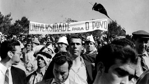 Futebol de Causas Bild 1