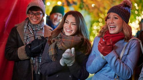 Zurück zu den Weihnachtssternen Bild 4