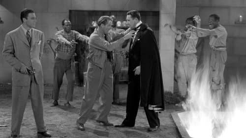 Herr der Zombies Bild 6