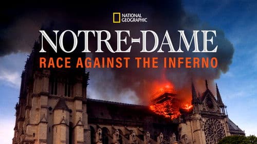 Notre-Dame: Kampf gegen die Flammen Bild 4