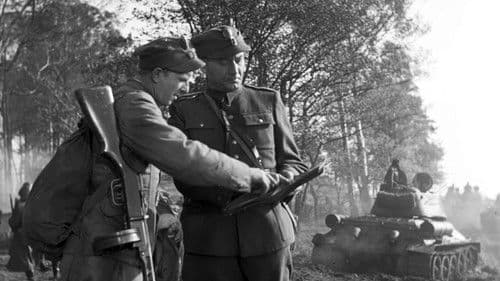 Krzyż Walecznych Bild 5