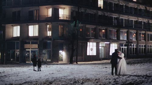 Landschaft im Nebel Bild 8