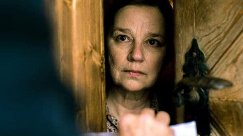 Der Zürich-Krimi: Borchert und der eisige Tod Bild 3