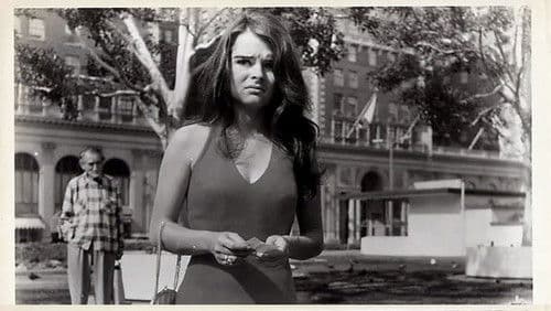 Stranger in Hollywood Bild 1