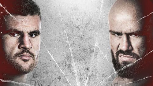 Johnny Fisher vs. Alen Babic Bild 1