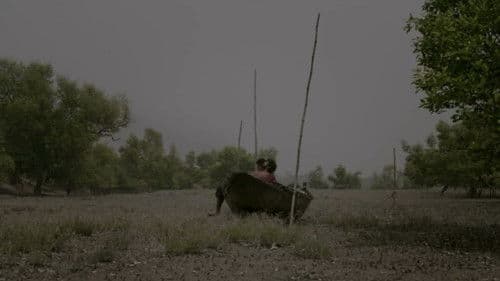 দোআঁশ Bild 1