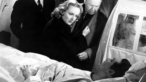 Nur dem Namen nach Bild 5