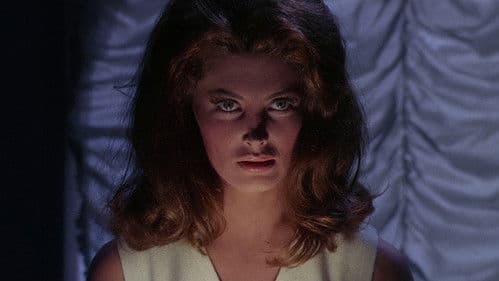 Grüne Augen in der Nacht Bild 7