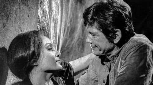 ...und knallten ihn nieder Bild 3