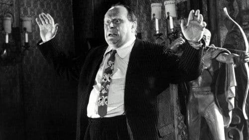 Der grüne Bogenschütze Bild 1