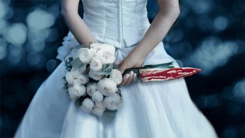 Meet Marry Murder Bild 2