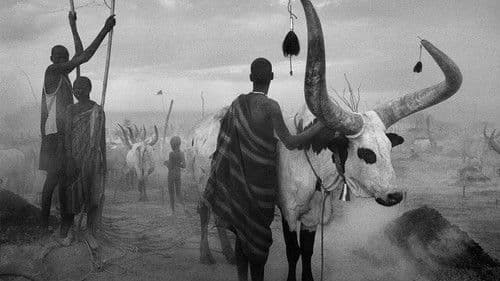 Das Salz der Erde Bild 5