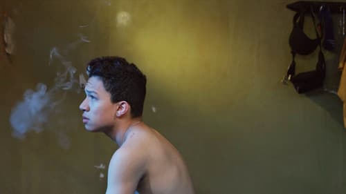 LIEB MICH! - Gay Shorts Volume 7 Bild 3