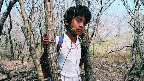 සුළඟ එනු පිණිස Bild 2