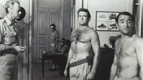 Die Helden von Afrika Bild 2