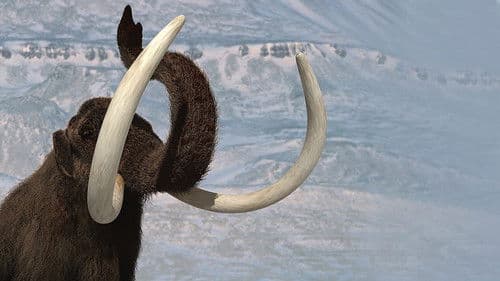 Wildes Amerika - Zeugen der Eiszeit Bild 2