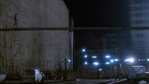 Salmonberries Bild 5