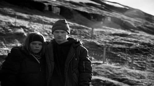 Milchkrieg in Dalsmynni Bild 6